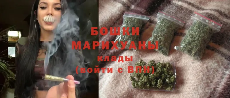 как найти   Амурск  Конопля White Widow 